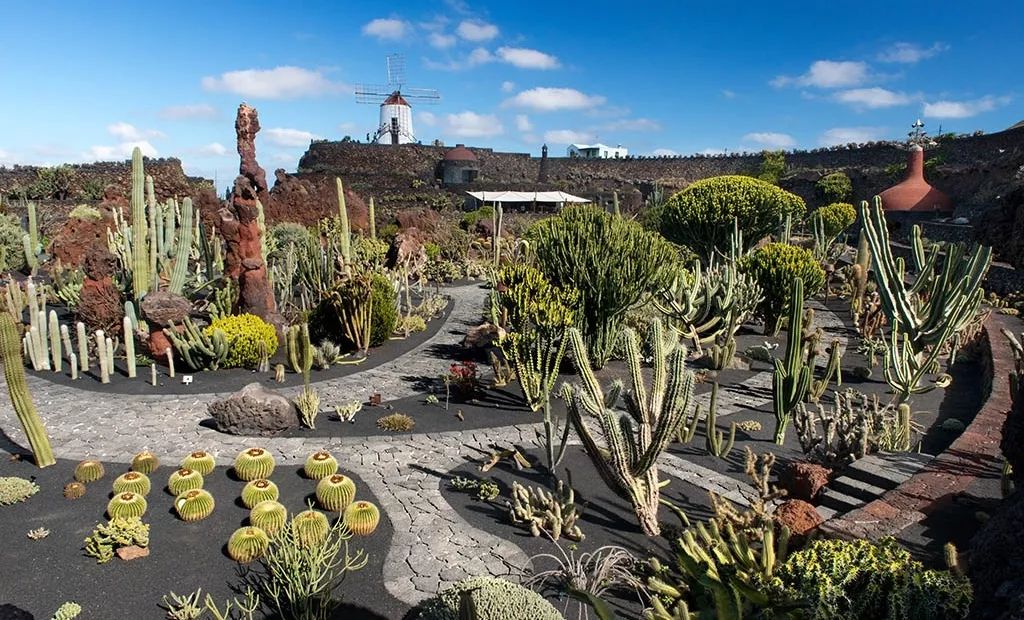 秋天来临前的前兆,秋天来临之前
