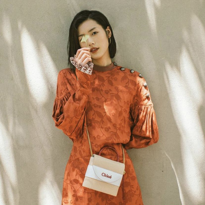 2021刘雯明星同款包包,大表姐刘雯最新包