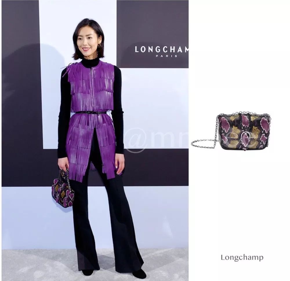 2021刘雯明星同款包包,大表姐刘雯最新包