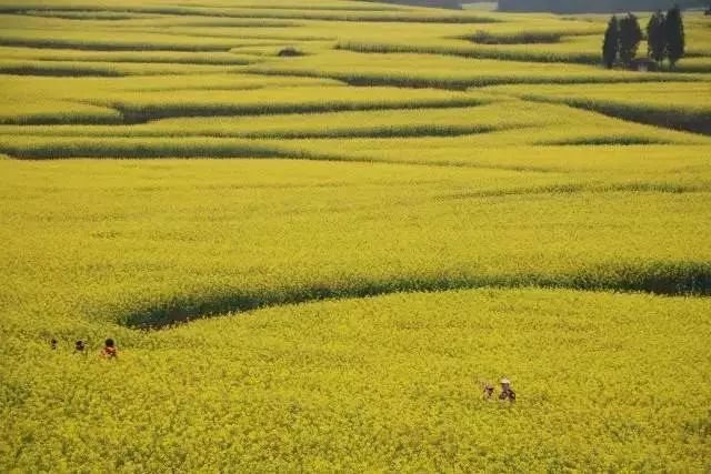 云南6条高速公路最新消息,2023云南有几条新建高速公路