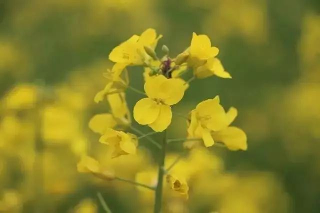 云南6条高速公路最新消息,2023云南有几条新建高速公路