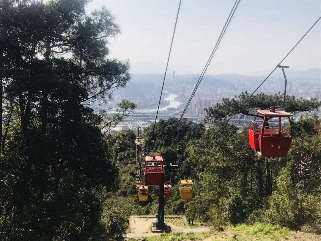 福州好玩拍照好看的地方,福州3-4月份赏花位置