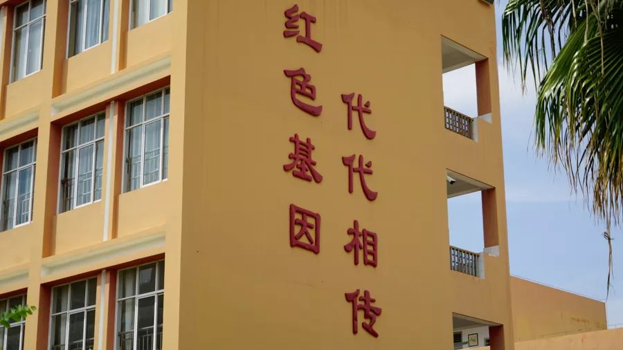 「壮丽70年•奋斗新时代」红色基因代代相传，宾川革命英烈红军小学开学第一课这样上