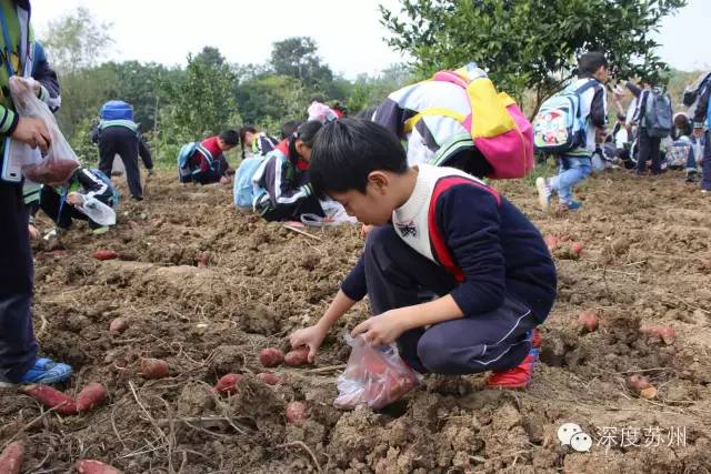 苏州版“开学第一课”，相城这学校竟然把中科院院士都请来了，又一家宝藏学校