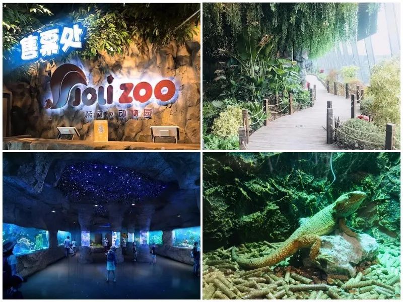 2023商业变革,商业转型新升级