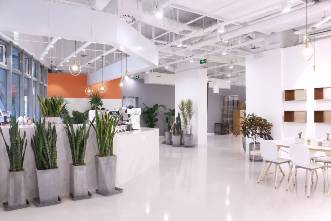 人做梦都想如何挣钱,做梦都在想怎么能挣到大钱