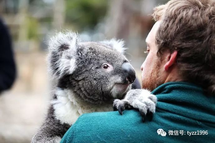 沈睿：动物与人——西方动物权利思想的来龙去脉｜天涯·头条
