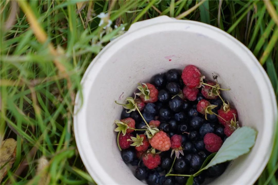 挪威的特别之处,真实的挪威