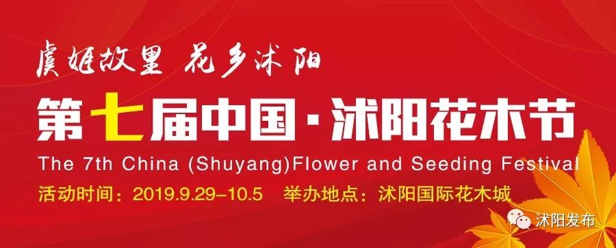 2019沭阳事业单位招聘,找工作沭阳县招聘信息今日