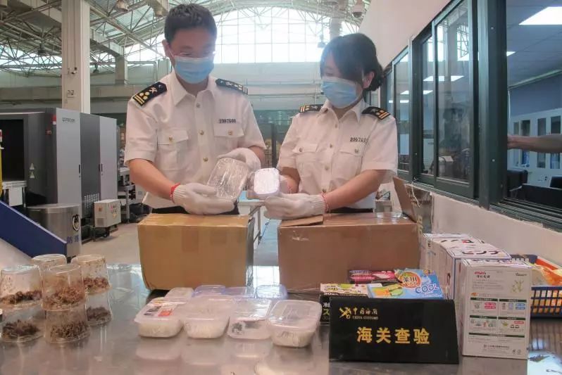 邮寄月饼到国外要关注什么,跨境邮寄月饼需要关注哪些