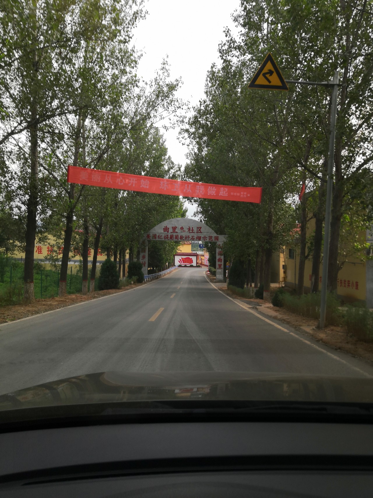 手里的竿水里的鱼，还有捡垃圾的真钓鱼人