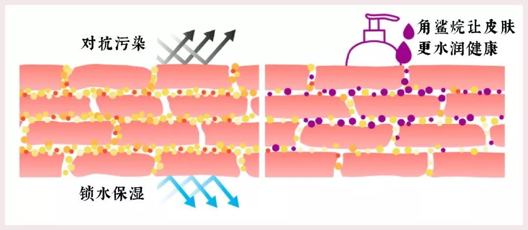 乳液和面霜哪个锁水效果好,补水保湿滋润锁水125ml
