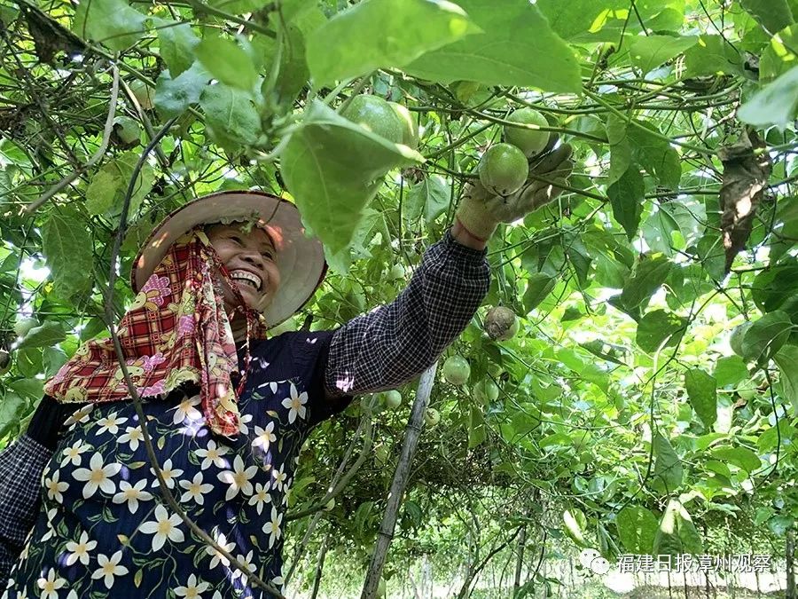 想做农村电商物流怎么办,乡村物流电商创业