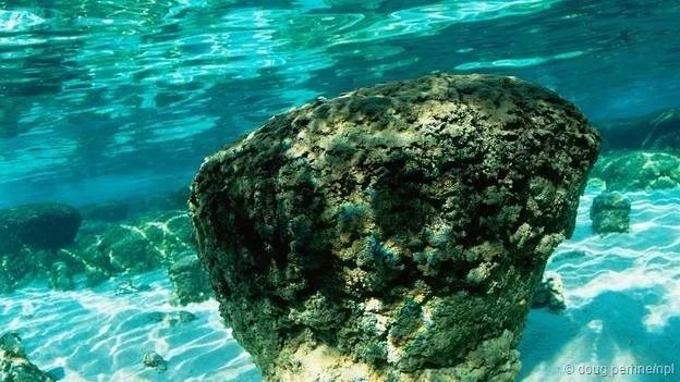 今日科技话题：二次再热发电技术、强直性脊柱炎新药研究、海洋生物要素在线监测、“地球大氧化”、自闭症诊断、体细胞突变