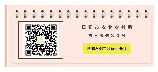 国家允许的兽药目录,兽药政策法规一览
