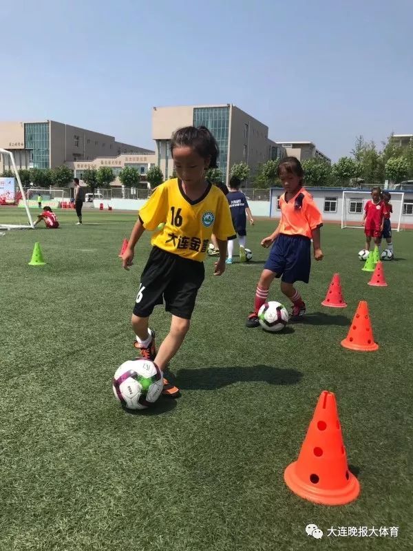 大连金州区阳光小学简介,2021金州阳光小学