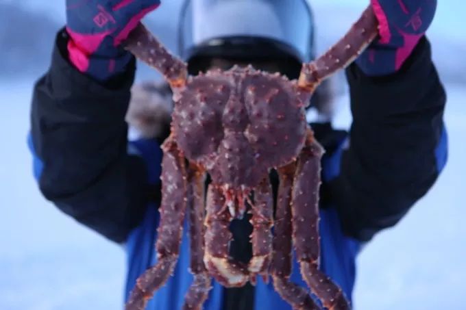 北欧签证回国,北欧签证有邀请函