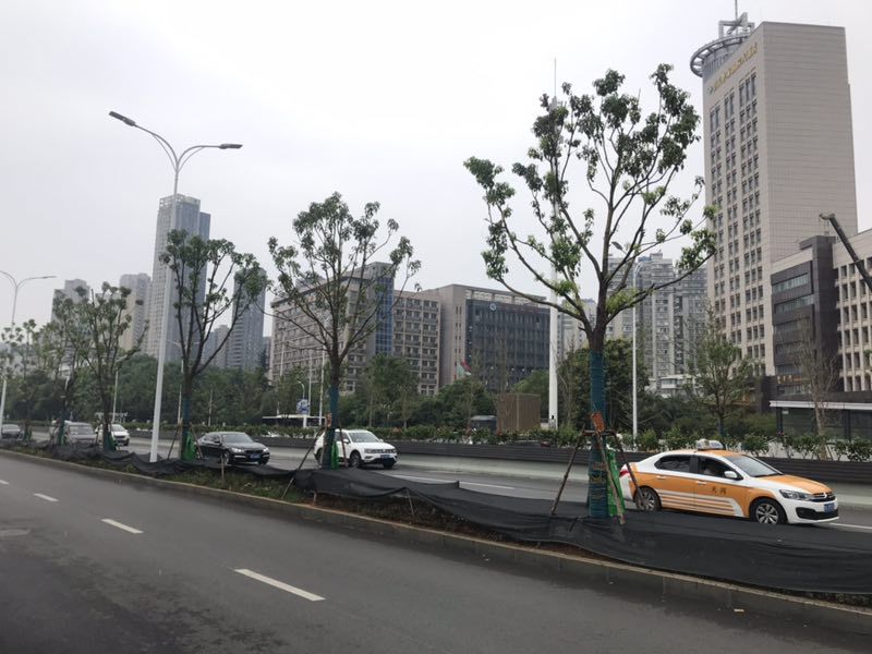 武汉地铁建设进展,武汉地铁11号线二期军运会