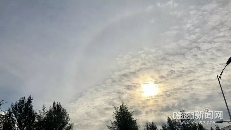 “玲玲”台风雨将至，哈尔滨东部7日有暴雨｜盘点近年来影响我们的台风（外围云系），它们是如何暗戳戳骚扰我们的