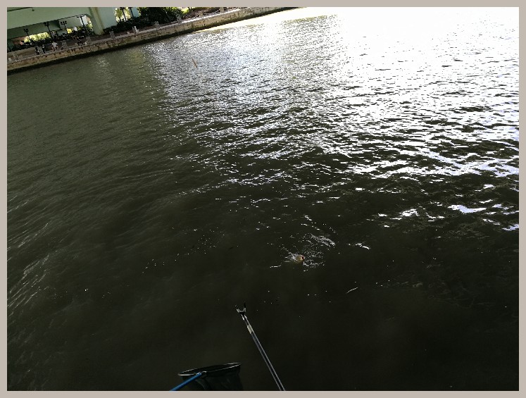 结伴同行首钓新城市高温也丰收