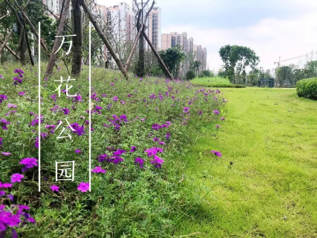 来成都玩的景点,来成都公园逛逛