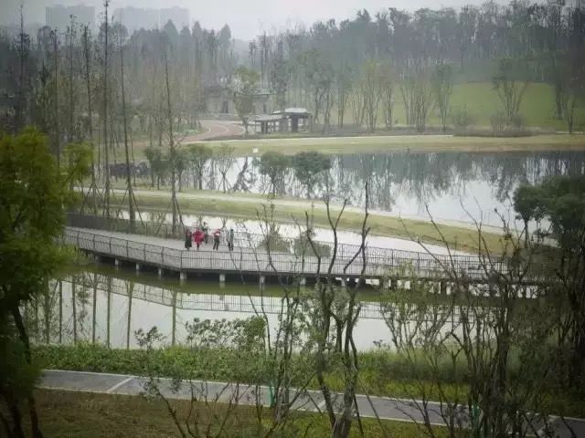 来成都玩的景点,来成都公园逛逛