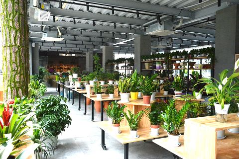 来成都玩的景点,来成都公园逛逛