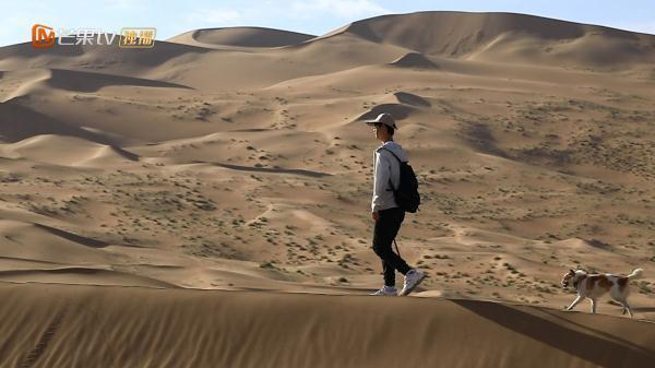 变形计夏日少年派什么时候播出,夏日少年派变形计