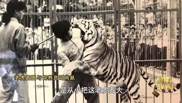 培根铸魂纪录片,培根铸魂面对面