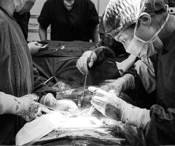 老年人肚子突然大得像怀孕,老人肚子变大圆鼓鼓的很硬不难受