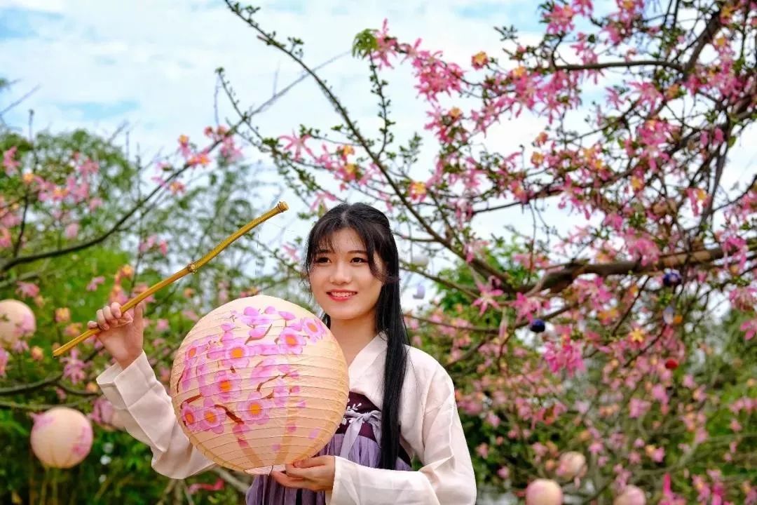 南沙百万葵园免费吗,南沙百万葵园开放时间最新