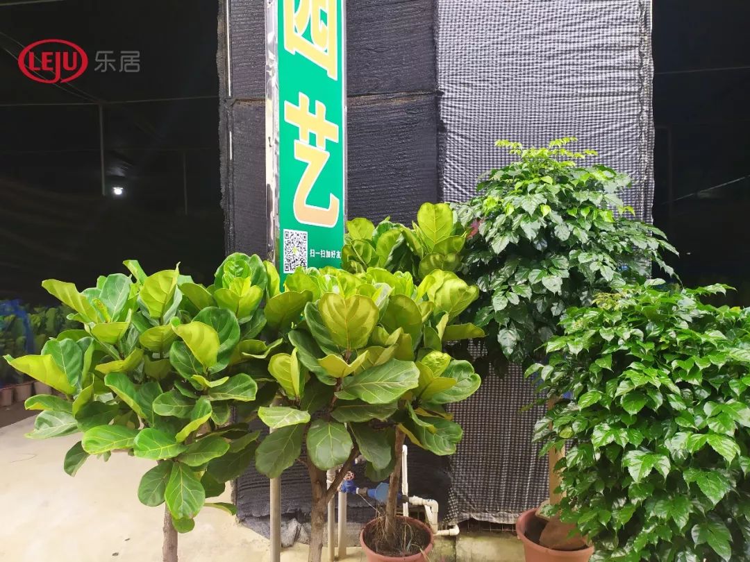 五家房企拿地,四家龙头房企250亿融资获批