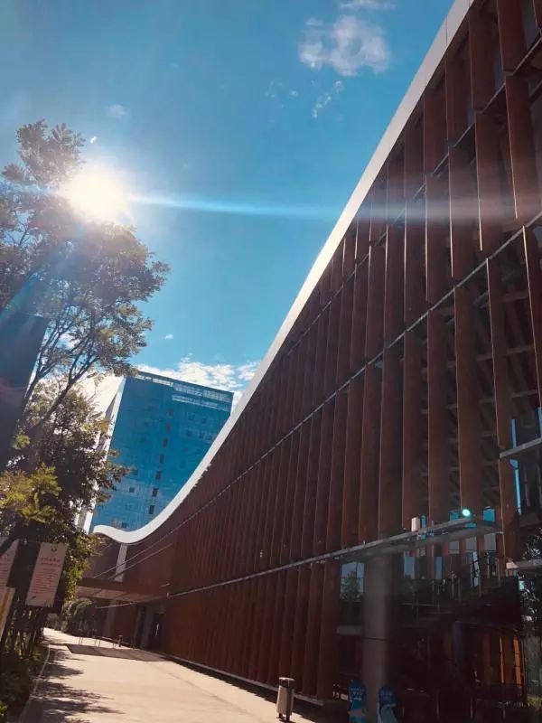 2019青白江区足球比赛,成都国际足球邀请赛2024年