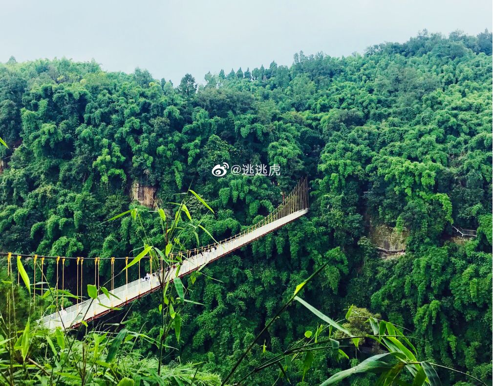 成都有没有玻璃栈道景点,成都最长的玻璃栈道