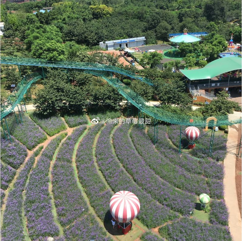 成都有没有玻璃栈道景点,成都最长的玻璃栈道