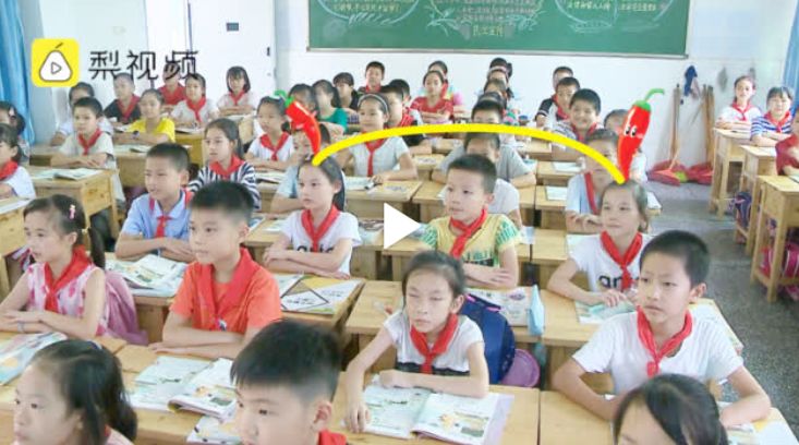 女足江苏队教练被批捕,江苏女足教练逮捕