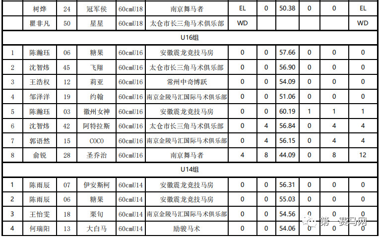 赵争军获封“两项全能王”，第一赛马网直播U系列赛受追捧