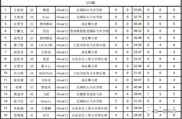 赵争军获封“两项全能王”，第一赛马网直播U系列赛受追捧