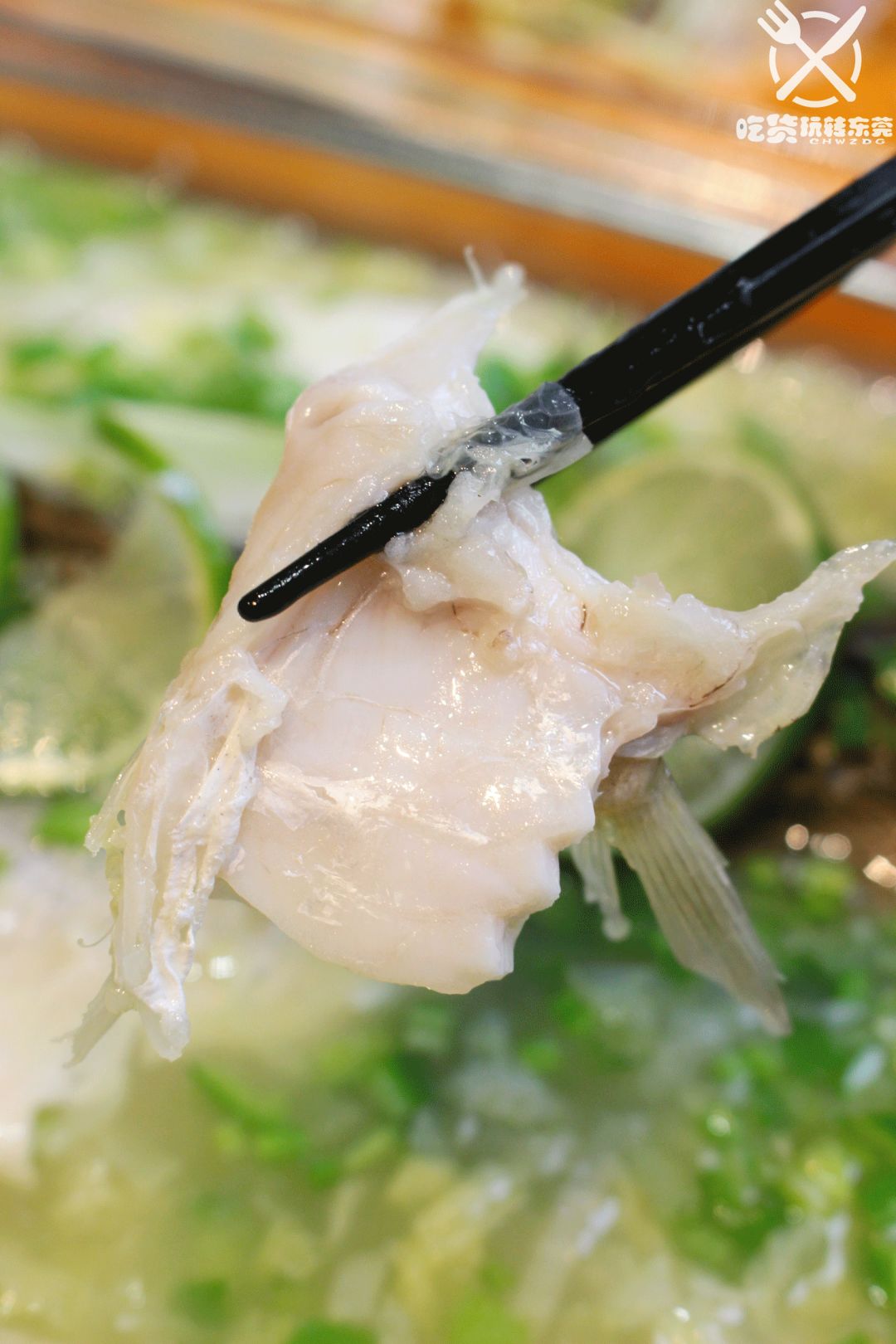 鸡苗高口碑店铺,口碑好的优质鸡