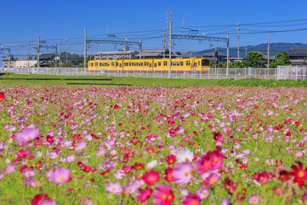日本自由行每日交通费,去日本自由行玩买什么交通卡