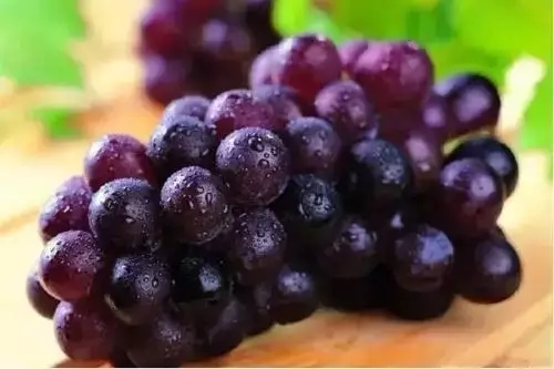 日照春天最值得游玩的地方,日照最新游玩攻略导图