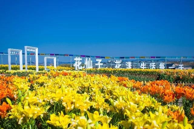 日照春天最值得游玩的地方,日照最新游玩攻略导图