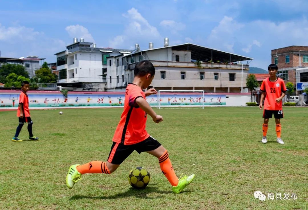 做好“三个一”！石扇镇积极抢抓机遇，致力足球振兴