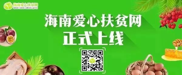 正在加载！海南检察服务保障民营经济健康发展“升级版”