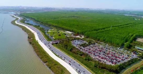 央媒谈合肥日报,长三角勇立潮头