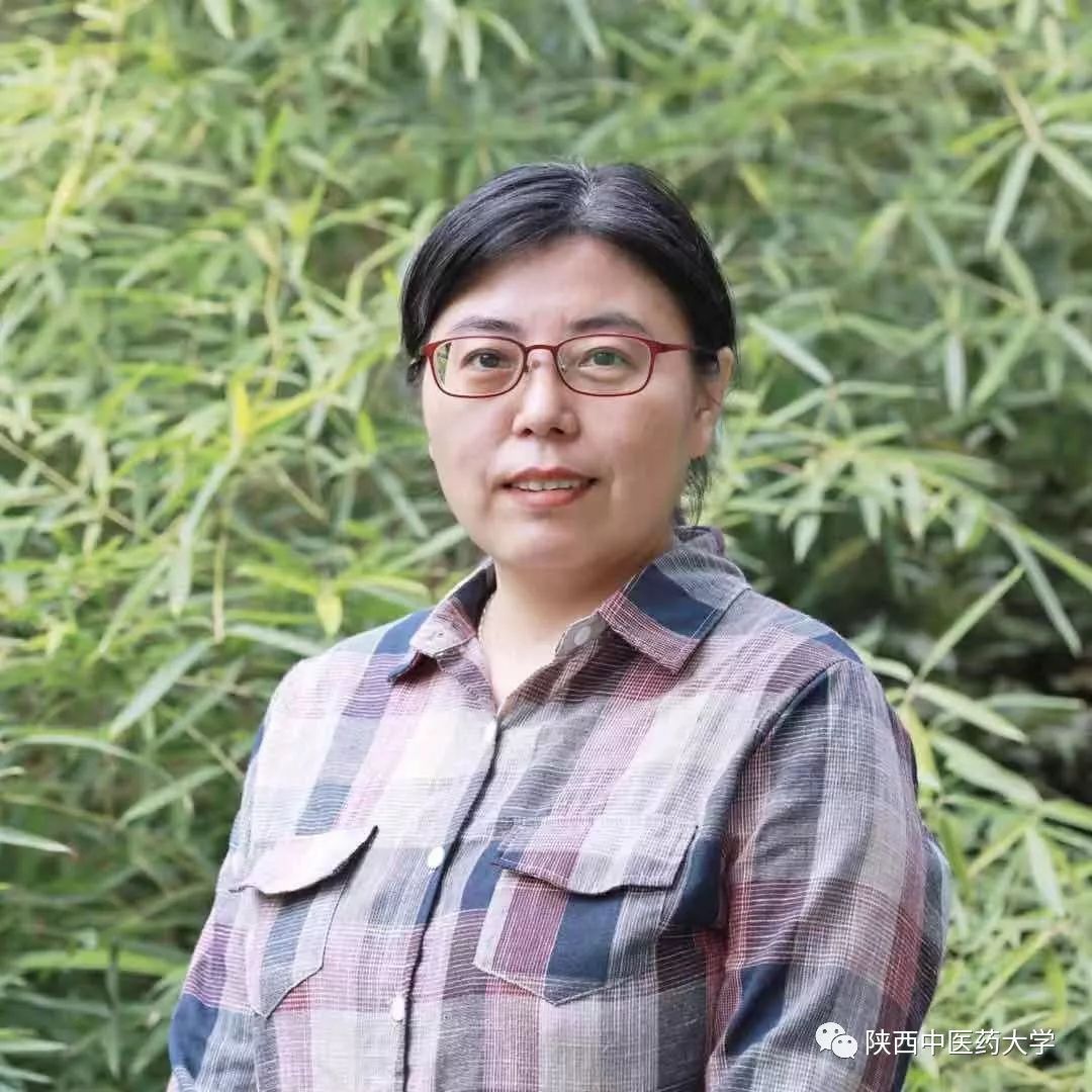 献礼老师歌曲,献礼老师的台词