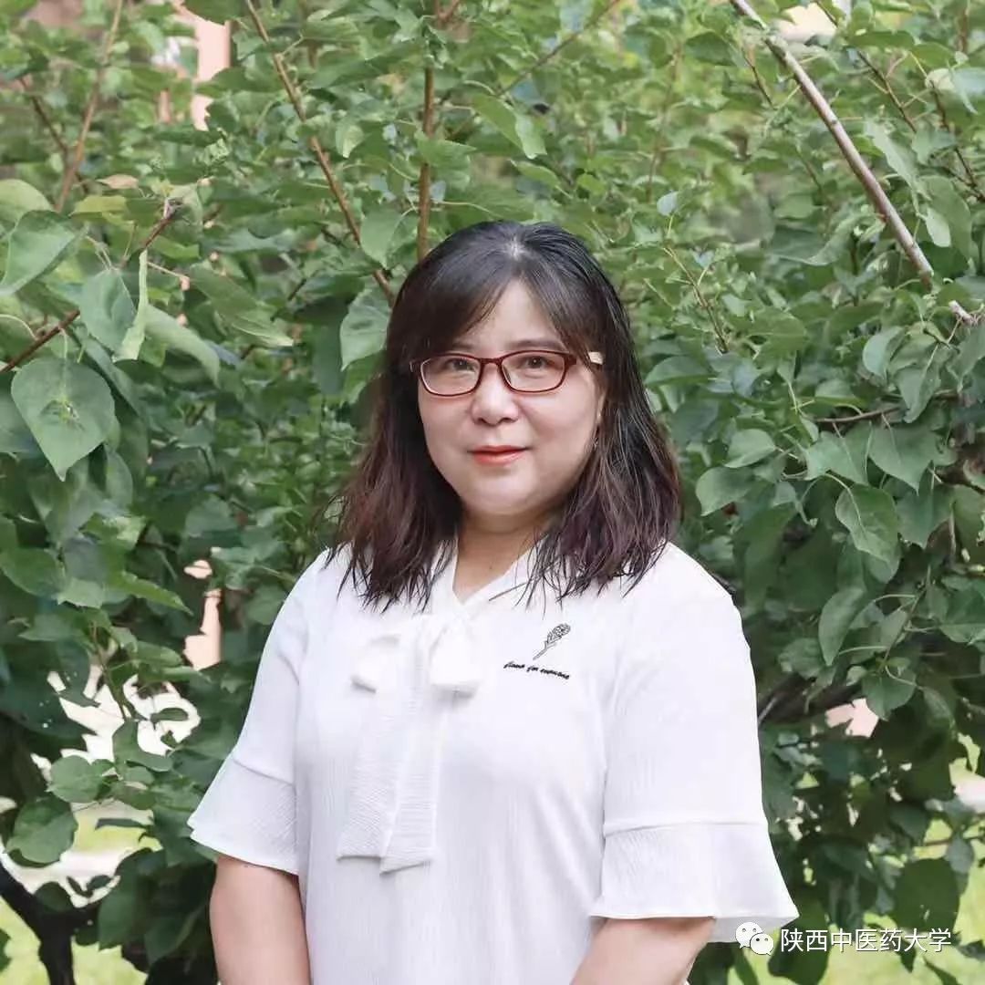 献礼老师歌曲,献礼老师的台词