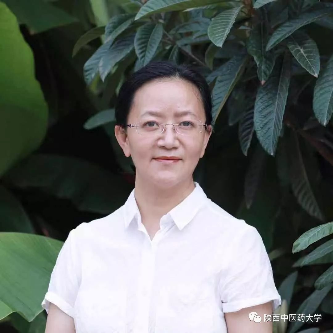 献礼老师歌曲,献礼老师的台词