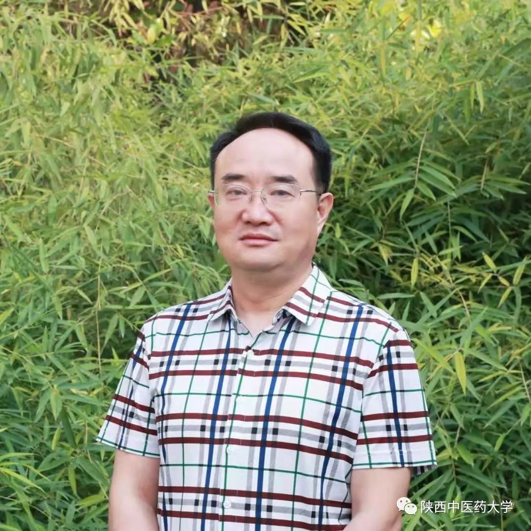 献礼老师歌曲,献礼老师的台词