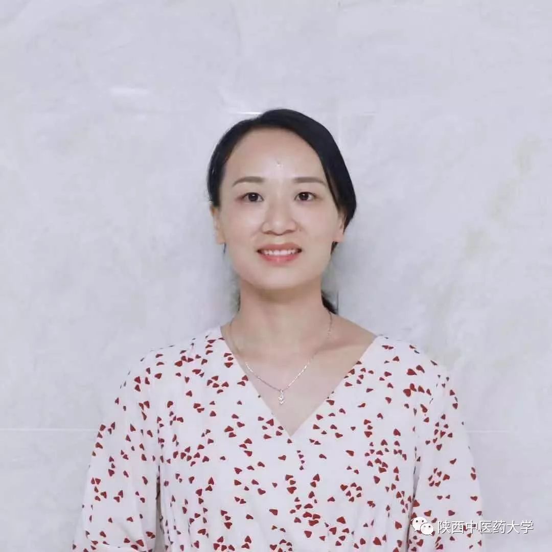 献礼老师歌曲,献礼老师的台词